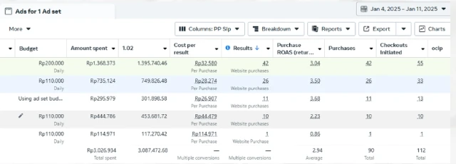 1739351765539-1 minggu