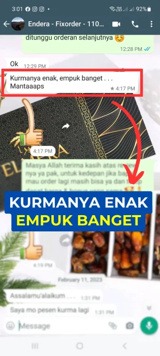 1732725698246-elmeramix2