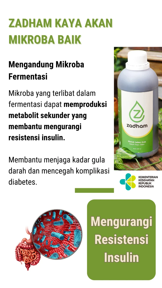 1731726854040-Harapan baru bagi penderita diabetes kronis (10)