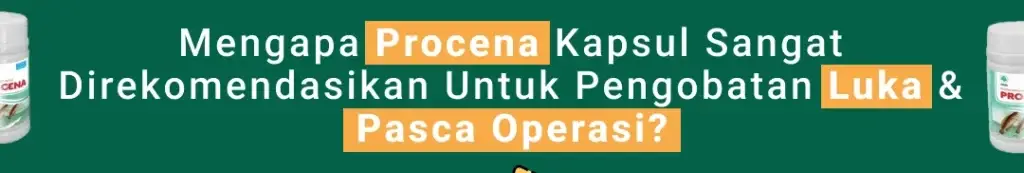 1710745623614-Instagram-post-299-3-1024x173