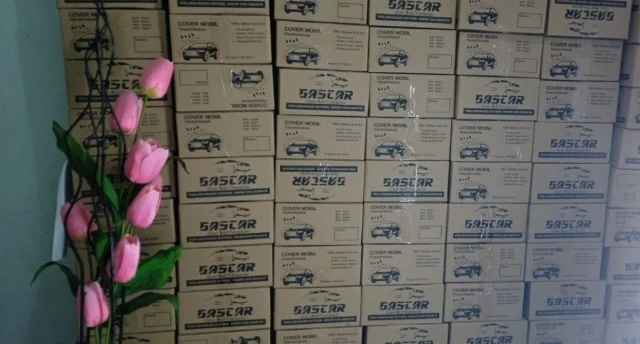 1713616919557-gascar cover1