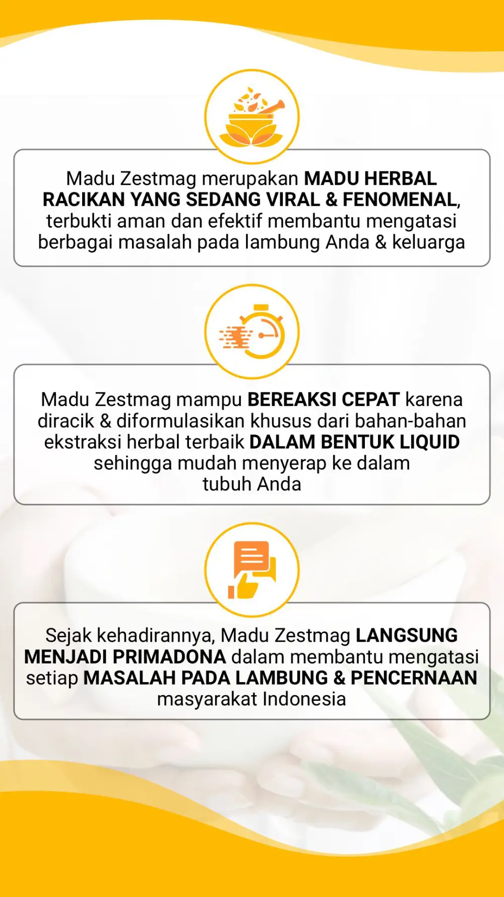 1710225636743-LP-Zestmag-Dani-2
