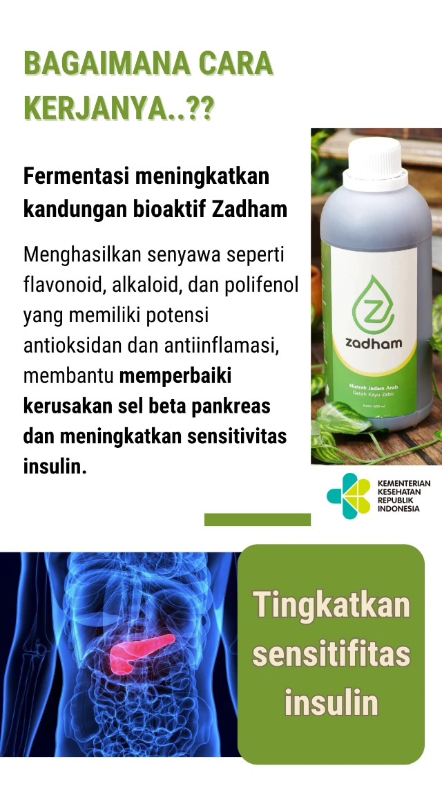 1731726223815-Harapan baru bagi penderita diabetes kronis (9)