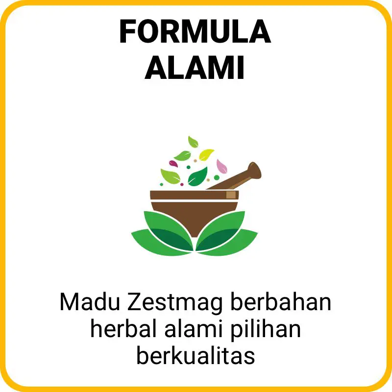 1709475503967-LP-Zestmag-Dani-6