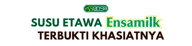 1749630424292-Asset Gambar Chat Ensamilk