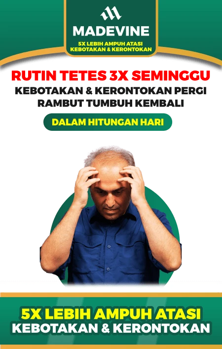 1742956172932-LP01NEWa-min