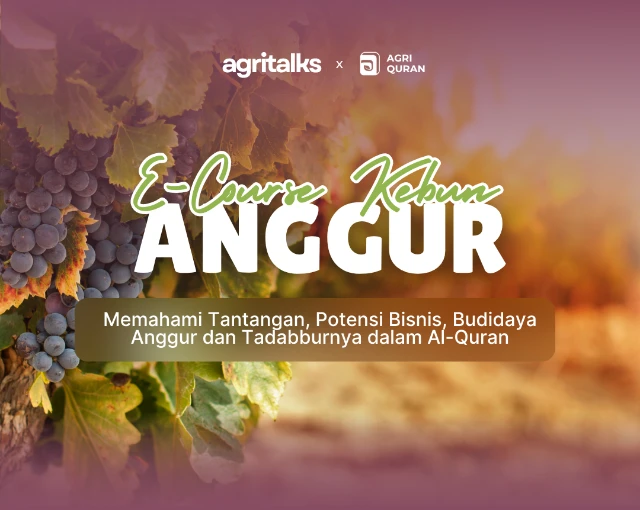 E-Course Kelas Kebun Anggur