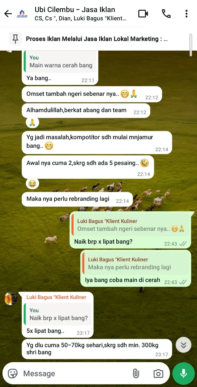 1740587150982-WhatsApp Image 2025-02-26 at 23.24.43