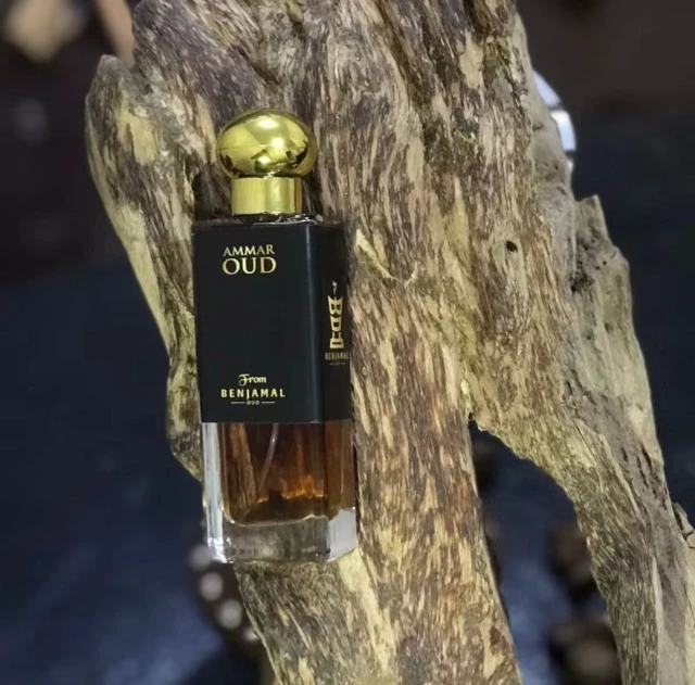 1730988454729-photo_2024-10-16 16.55.12