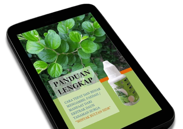 1729743369638-eBook panduan