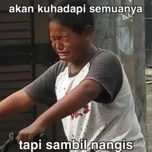 1731381207140-Meme-1-768x768