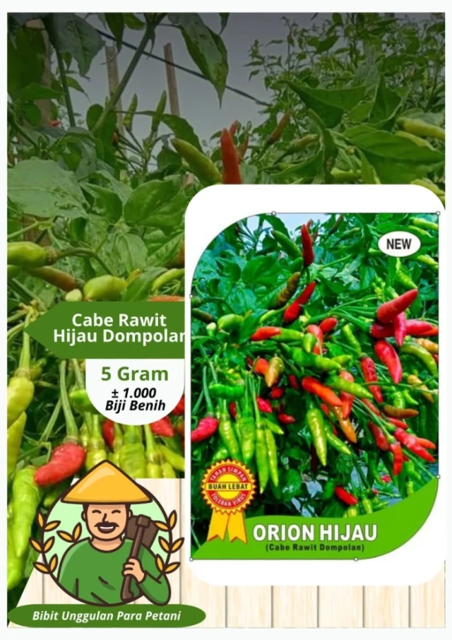 1733756684236-hxqbZCcQZT5BakhxJRnwVbSR1kM3TiaLFyeY8dMXw