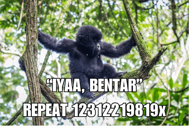 1732591773878-Meme toyless 2 (1)