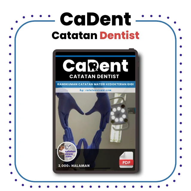 1740497162762-CaKep (4).webp