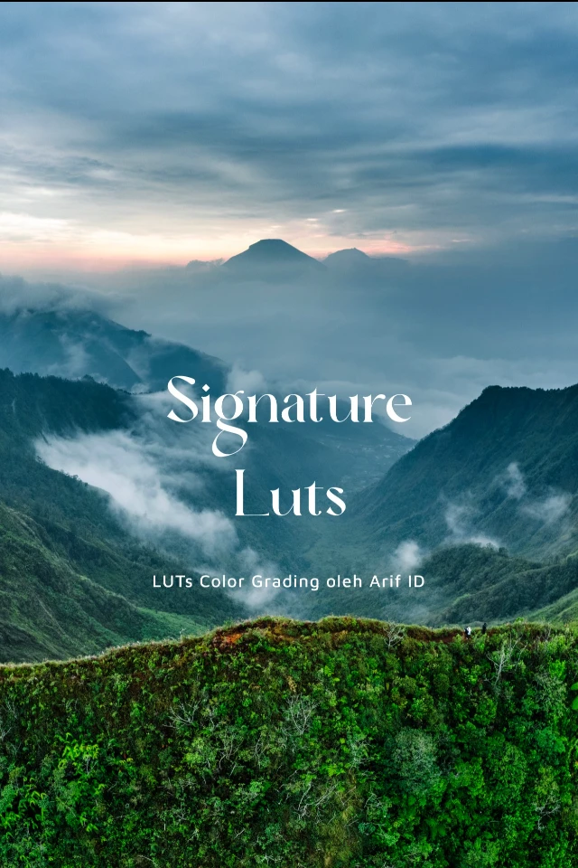 Signature LUTs Color Grading
