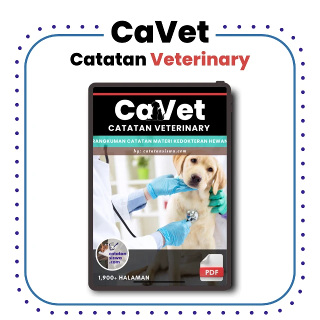 1740499056410-CaKep (7).webp