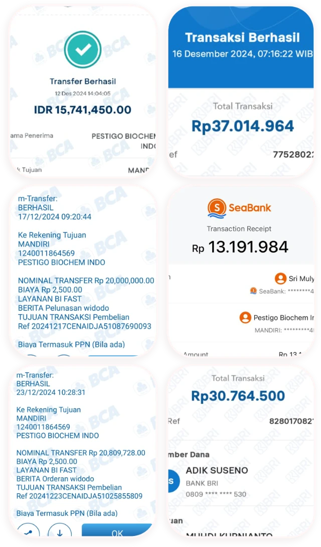 1745040679839-Group 3.webp