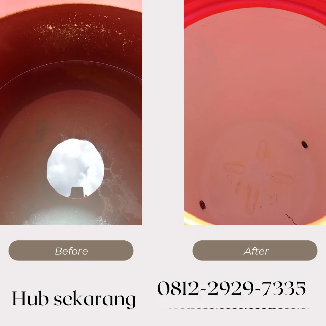 1736525626234-Before After 5