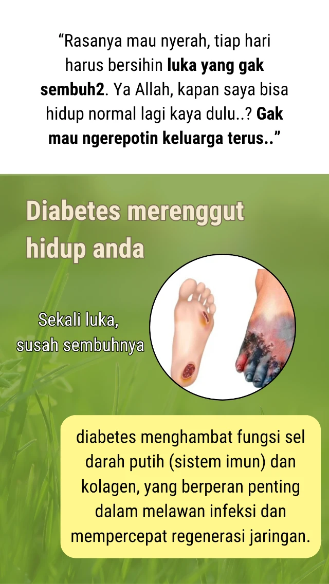 1731715624265-Harapan baru bagi penderita diabetes kronis (1)