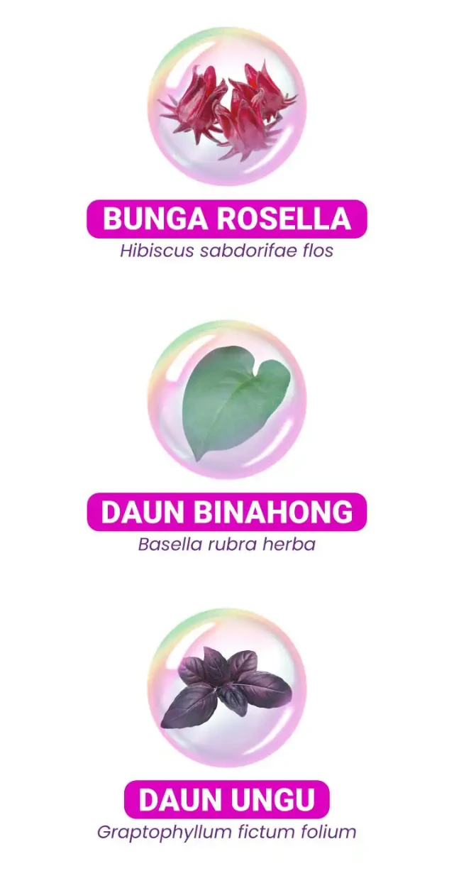 1750404136142-LP GRAPTO TONI-3-04