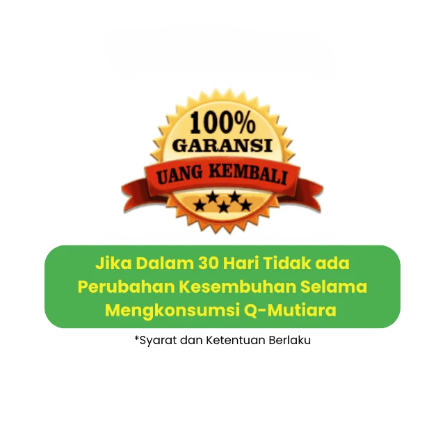 1747114114378-Banner SLC 1 (14)-min