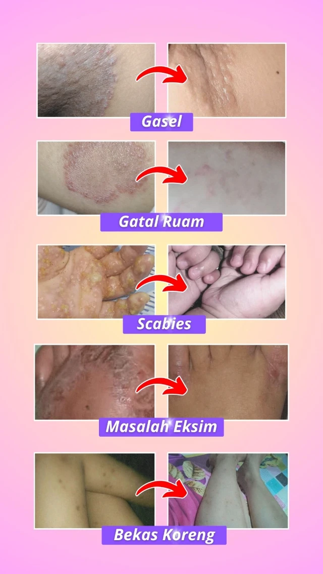 1747376476065-7x (15)