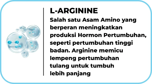 1744213838206-Komposisi L-Arginine (1)_11zon