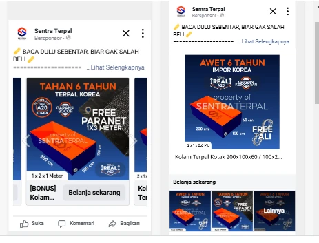 1738391303652-CPAS 2