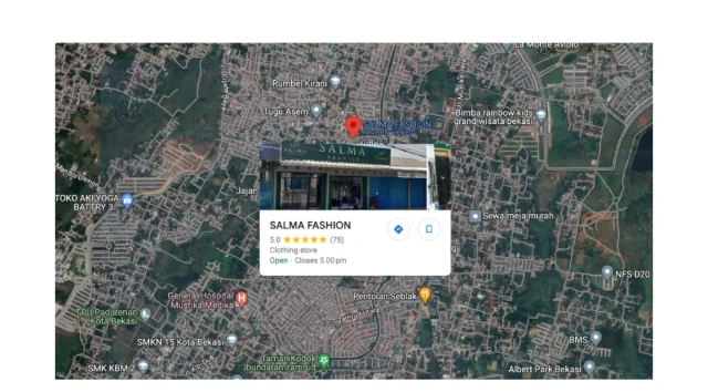 1737439597715-LP-Salma-Fashion-7