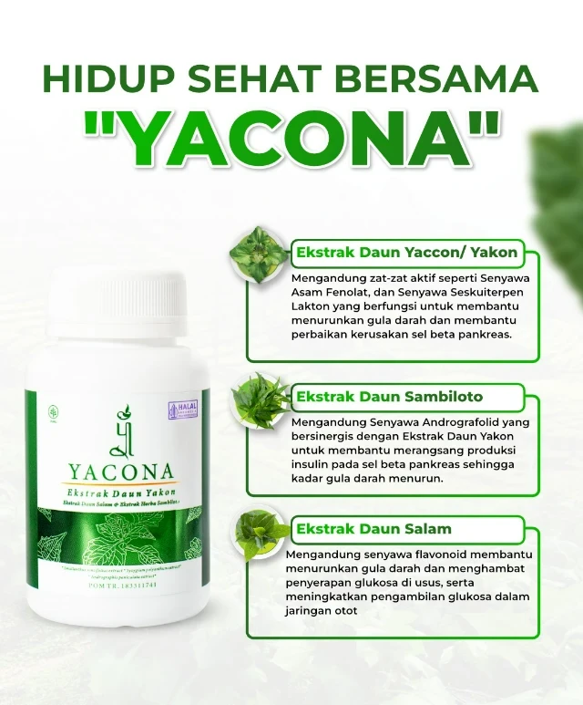 1759386388249-1758459697179-bahan2 yacona