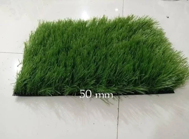 1757849670877-1755803996669-WhatsApp Image 2025-08-21 at 16.52.21_252ee0d4.webp