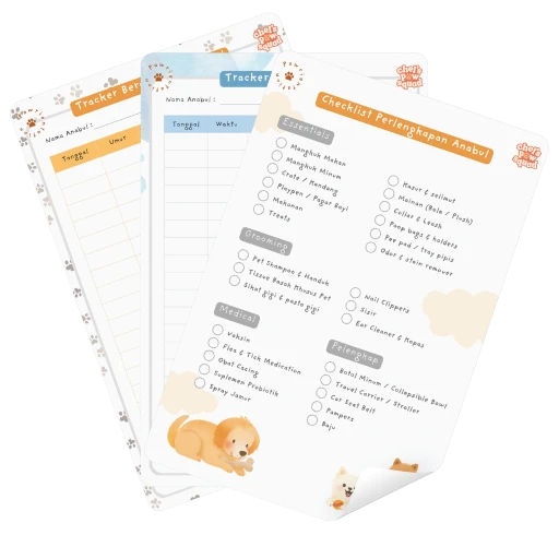 1756306192375-Pawrientation Bonus