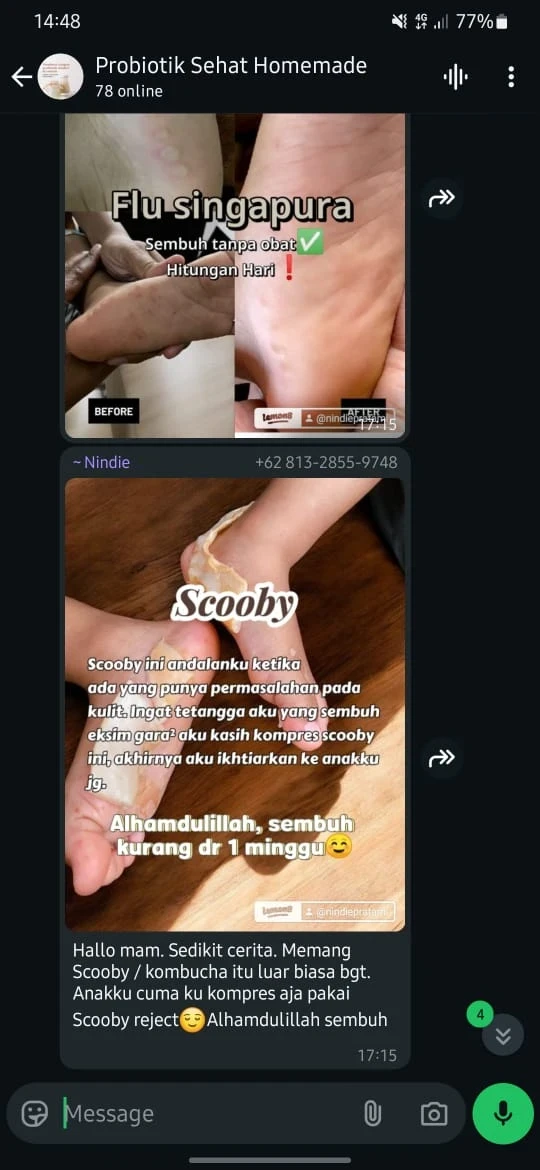 1751205074291-1749391903023-WhatsApp_Image_2025-05-_q2bI2UQ