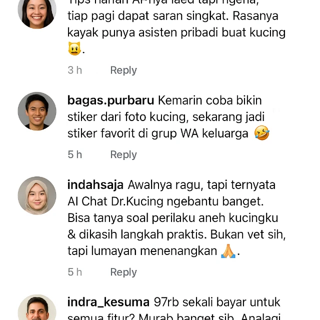 1759219110895-testi meowku 1