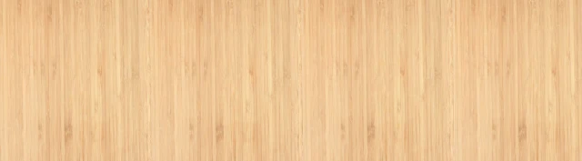 1758794380198-back_scalev