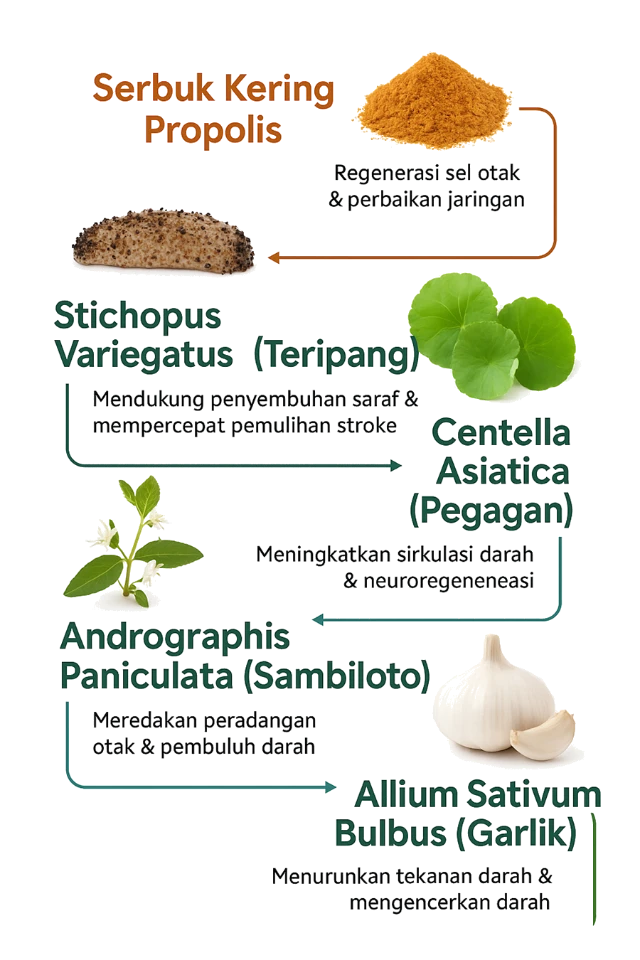 1759722897822-Komposisi_Maxdales_Transparent-1 (1)