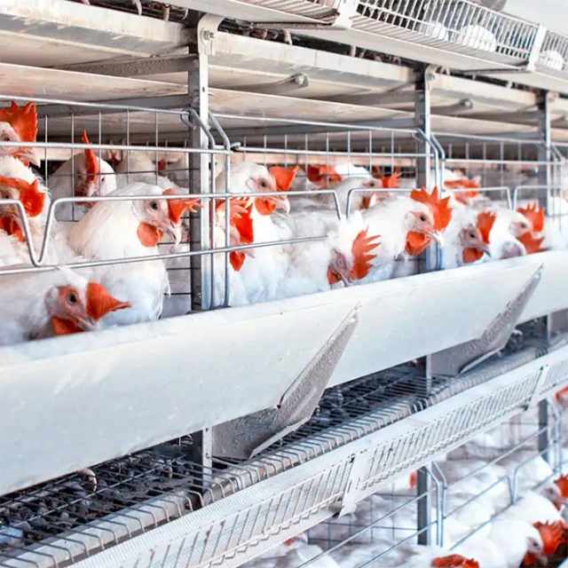 1750861607014-1000233166