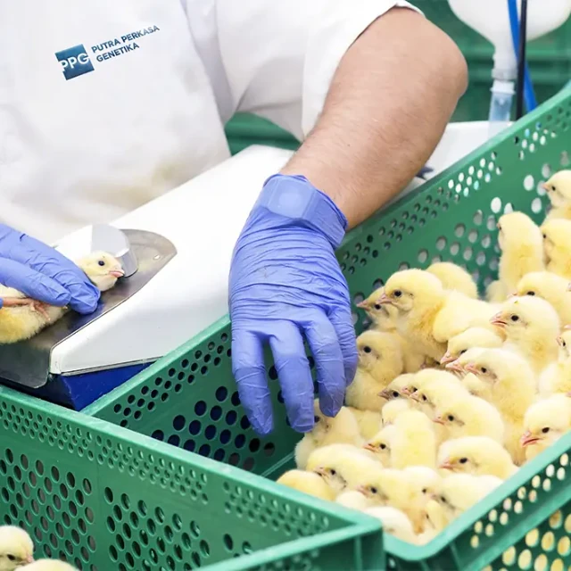 1750861164655-1000233159