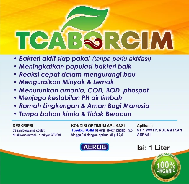 1755164720537-manfaat tcaborcim aerob.webp