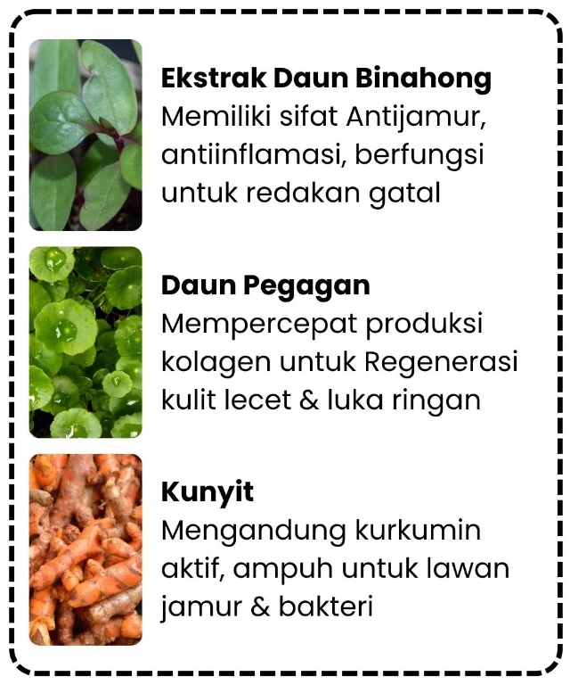 1754453582448-Iklim Tropis (7)