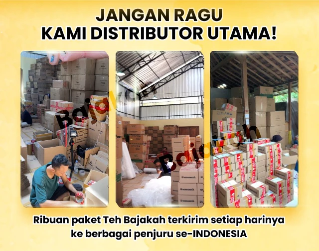 1759808686518-FTH1004 LP Bajakah Uus (16)