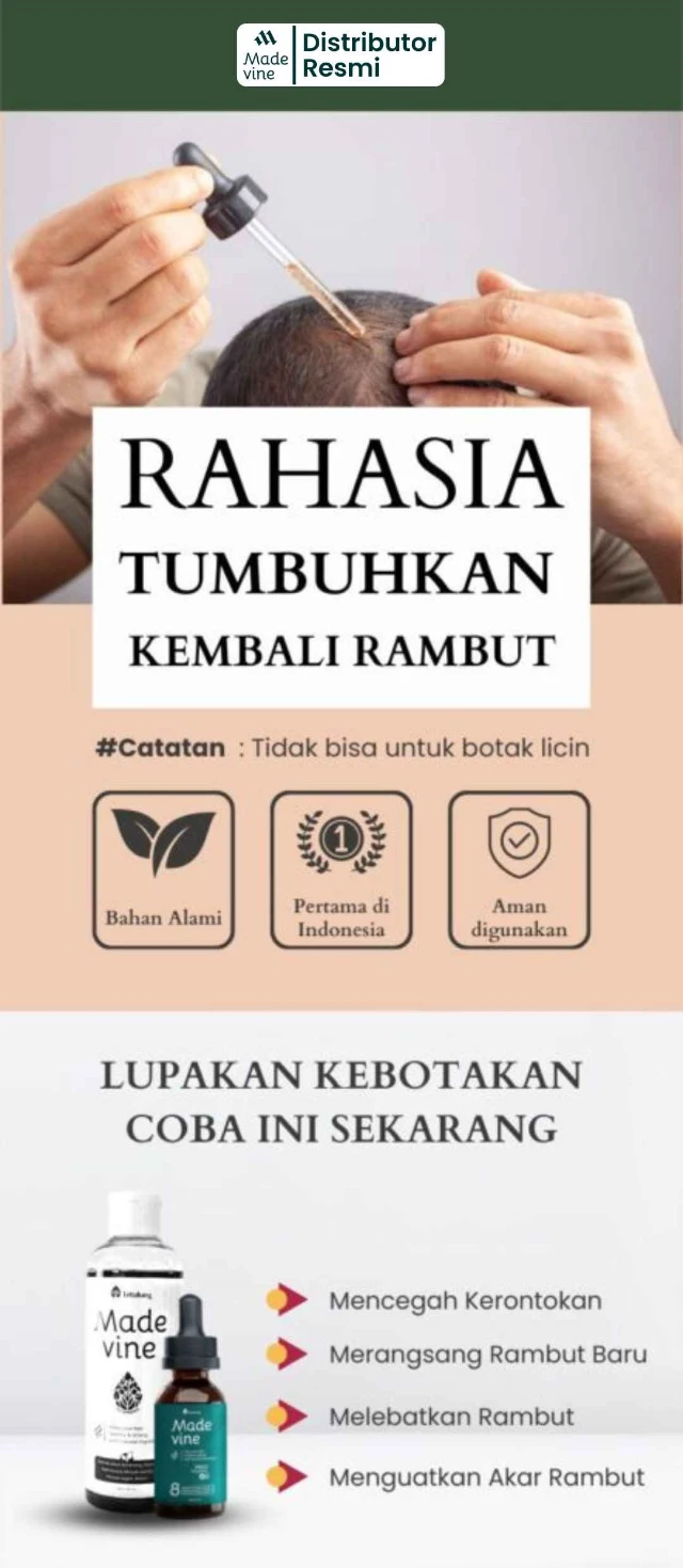 1756096034972-Lp distributor