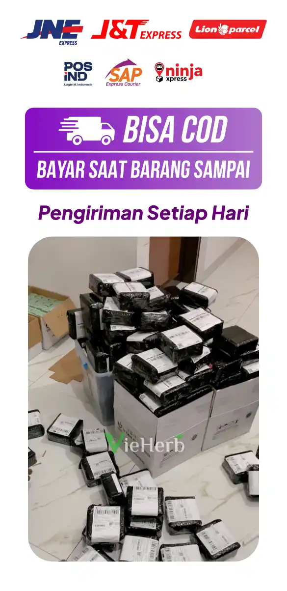 1757647904196-Eksepdisi_11zon