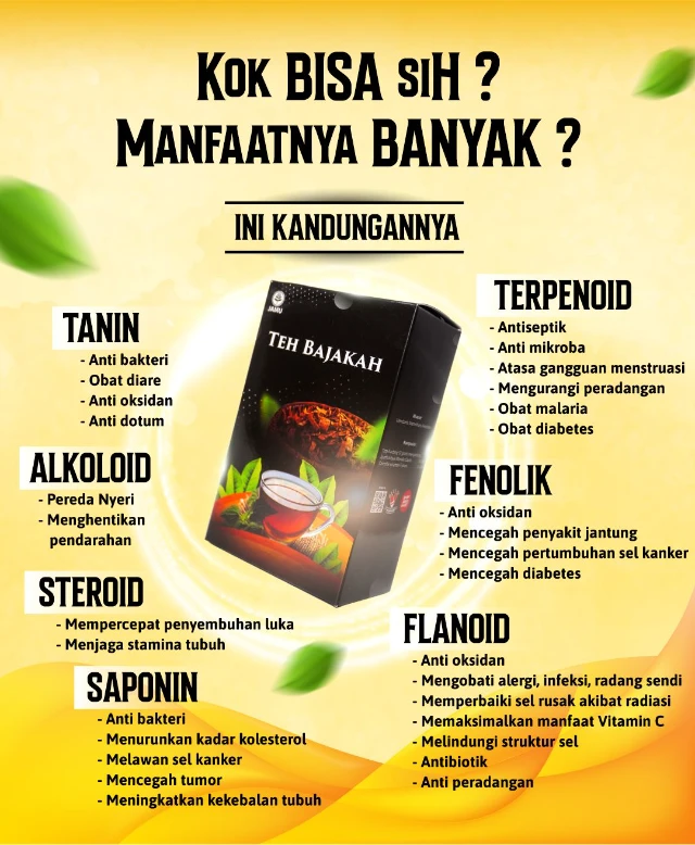 1759808489356-FTH1004 LP Bajakah Uus (5)
