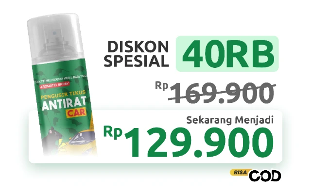 1754007517331-DISKON_40RB