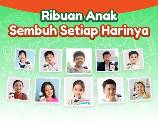 1758332805416-14-1024x806-1 (1)