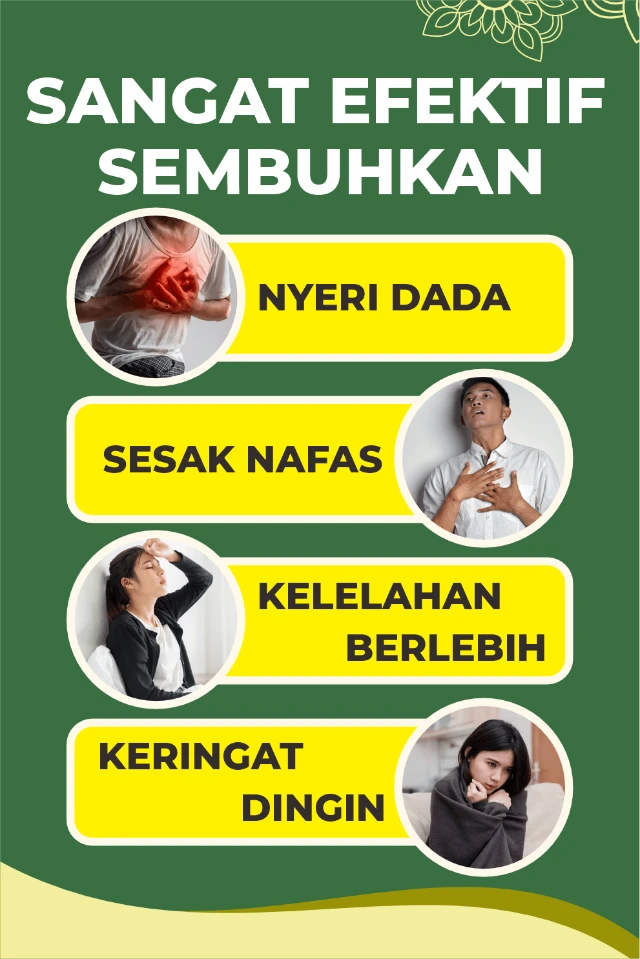 1759543705988-LP 2 DM 2