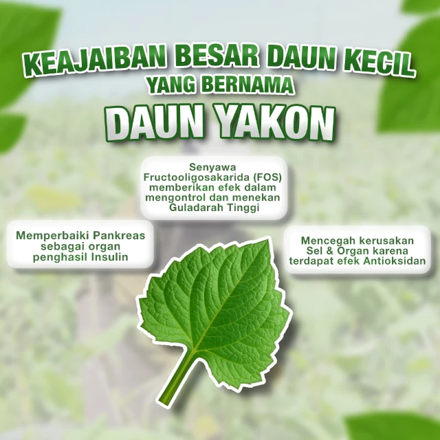 1758495488156-16. IMG-SQ-280825-YSF16