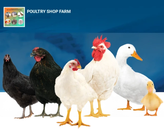 1751195543923-1000230188