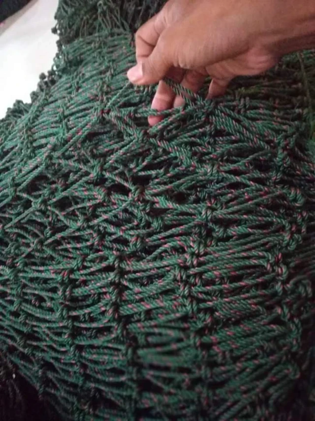 1757848974529-1755803061024-WhatsApp Image 2025-08-21 at 16.52.04_49ef6ea9.webp